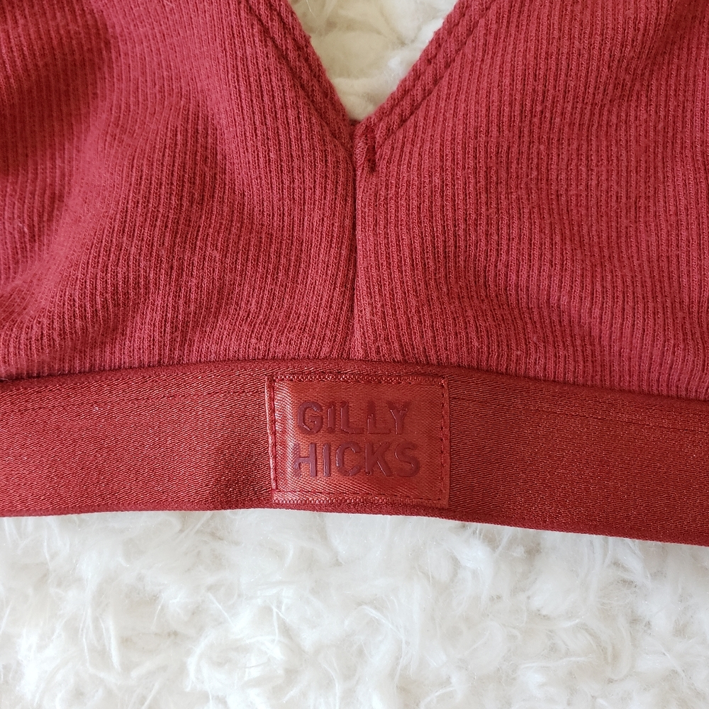 🌻 gilly hicks • hollister ribbed bralette - Picture 4 of 8